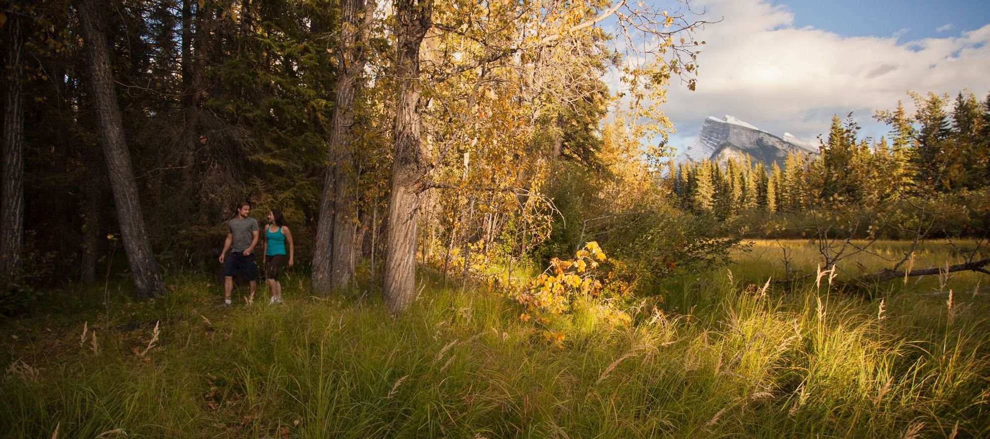 Fenlands Trail, Banff National Park