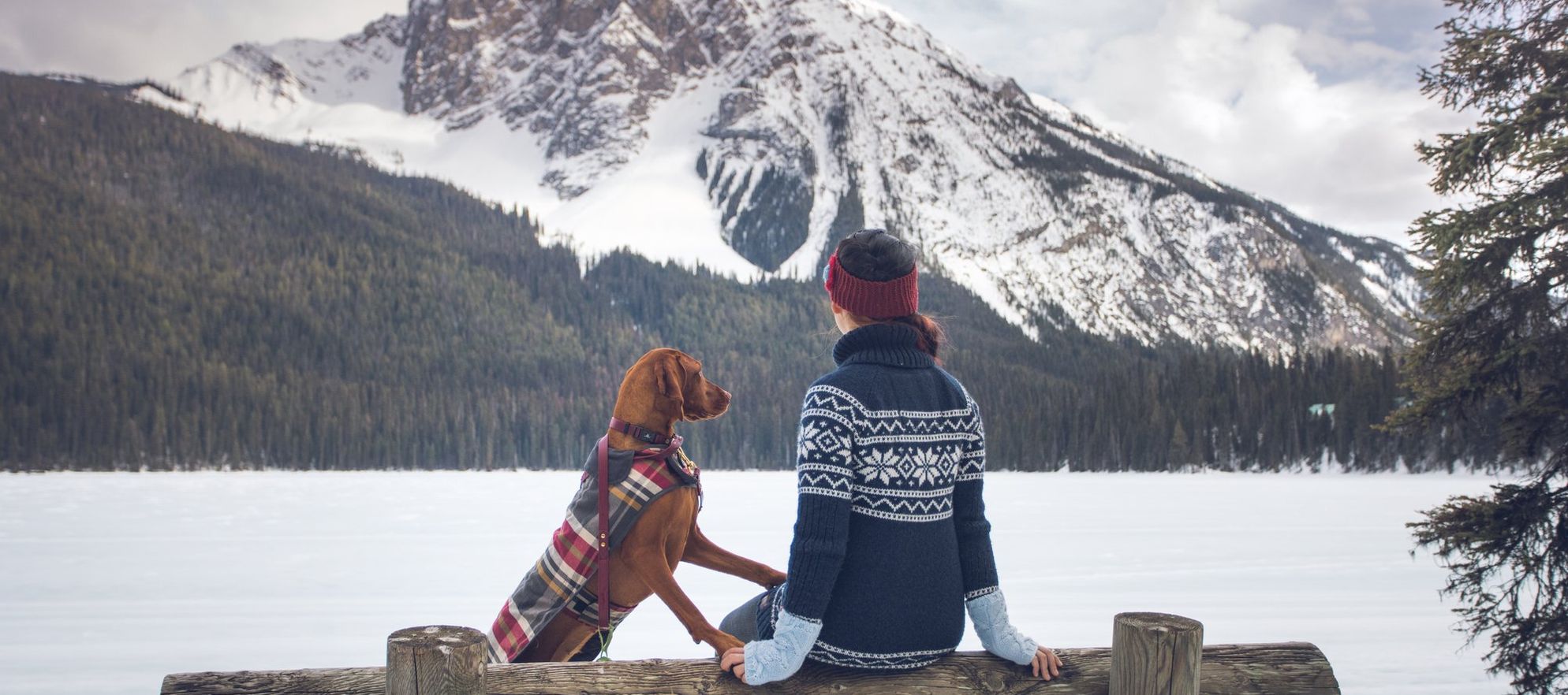 A woman and her dog sitting on a bench in front of snowy Emerald Lake