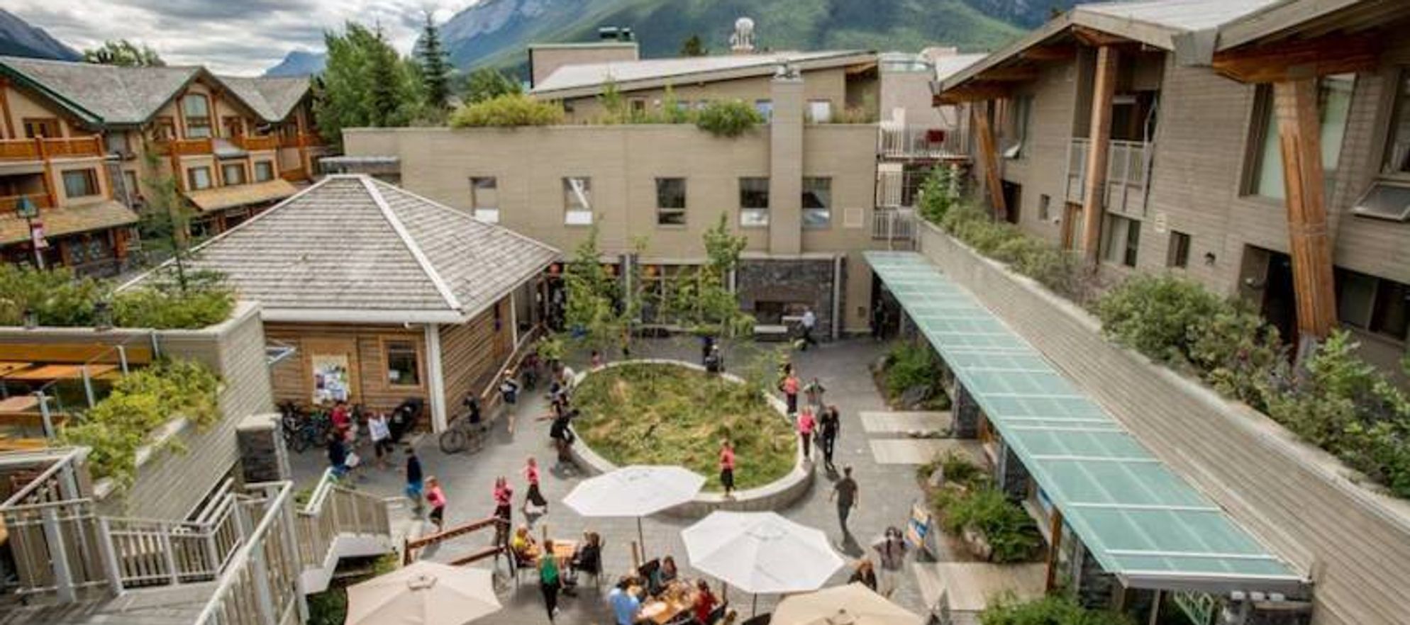 Arctos & Bird Management Ltd.