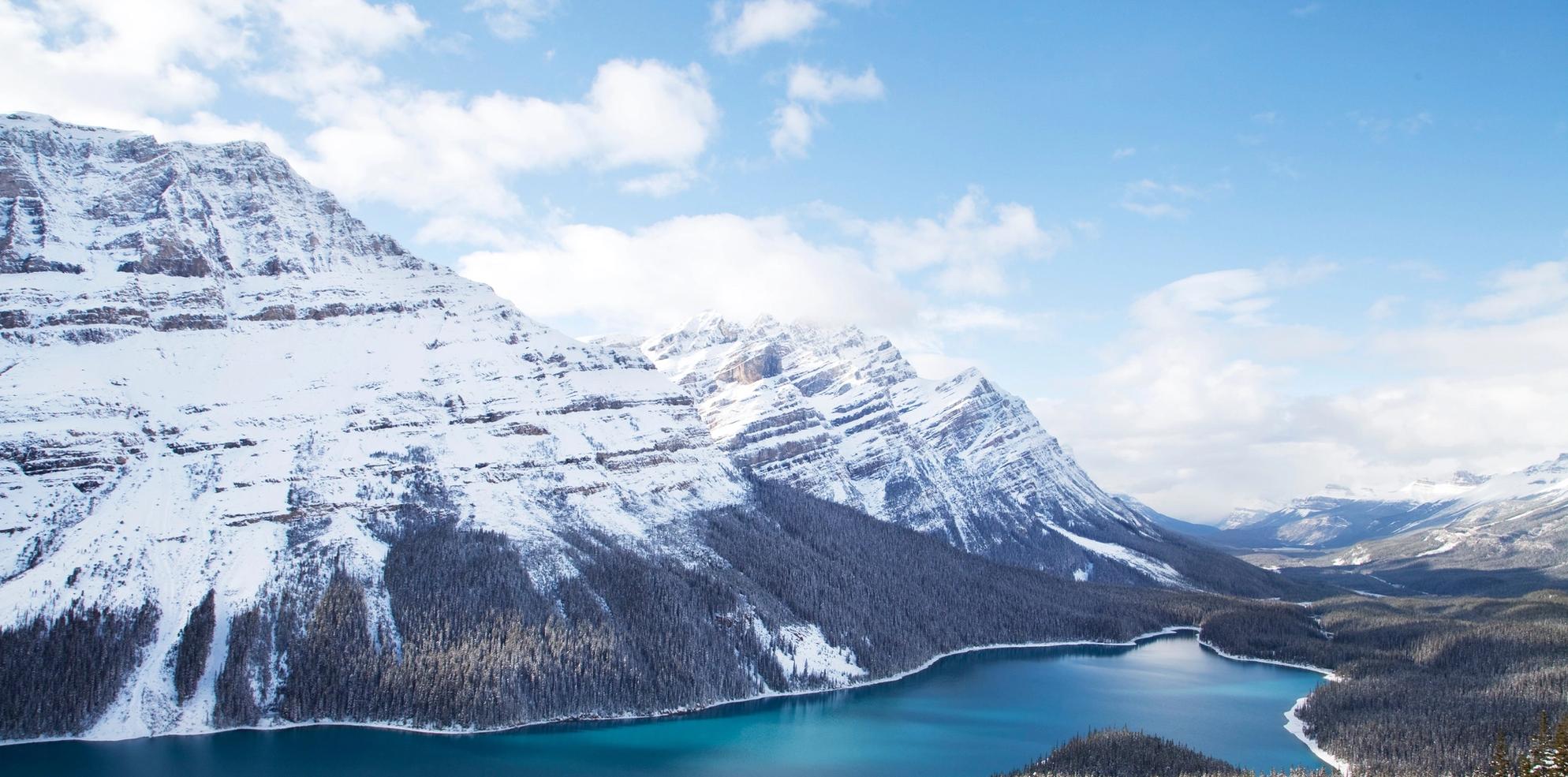 Peyto_Lake_Icefields_Parkway_Winter