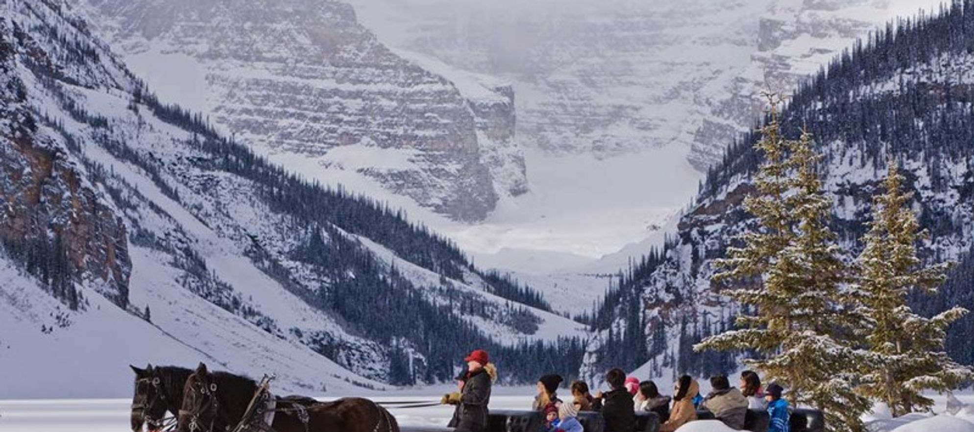 Brewster Mountain Pack Trains