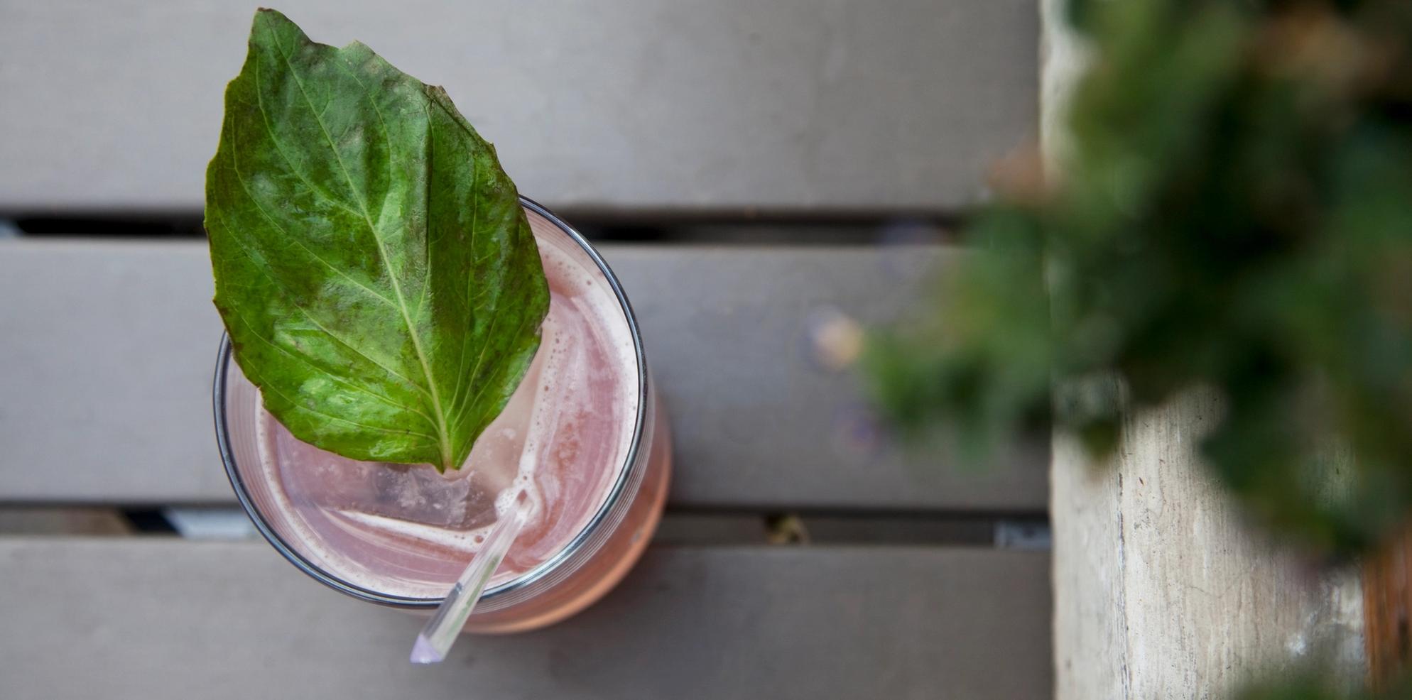 drink, drinks, cocktail, banff, dining, nightlife