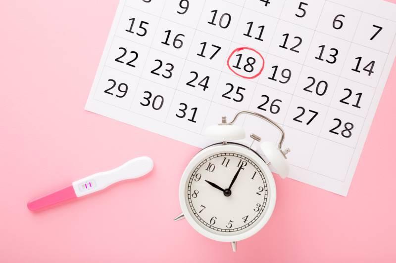 calendrier-suivi-grossesse