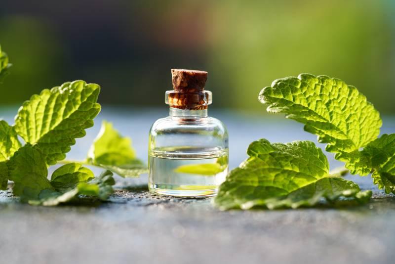 eau-de-melisse