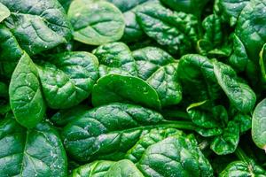 les-aliments-qui-font-maigrir