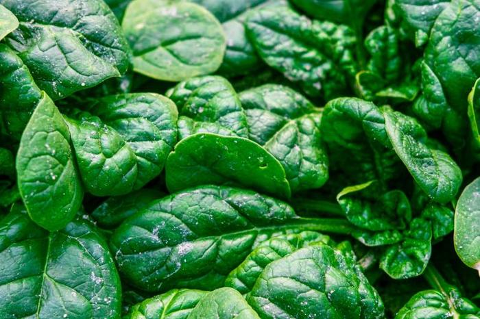 les-aliments-qui-font-maigrir