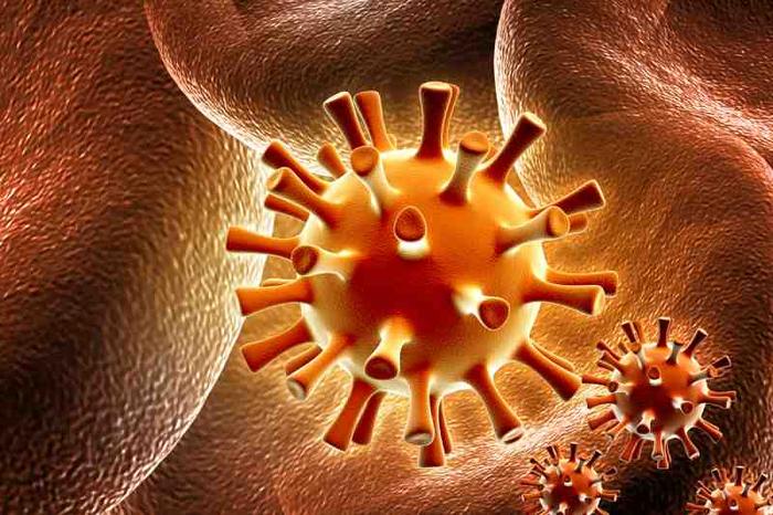 bouton-herpes