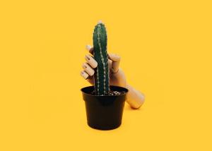 masturbation-masculine