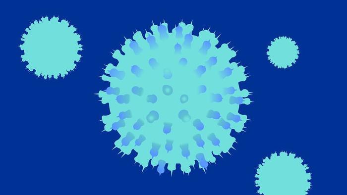 Herpes Virus