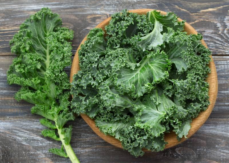 aliments-qui-font-maigrir-du-ventre