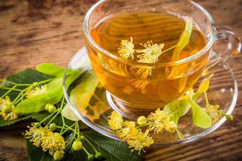 tisane-aubier-de-tilleul
