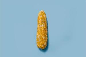 penis-infecte
