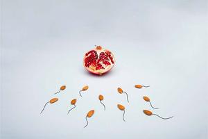 amelorier-la-qualite-du-spermatozoide