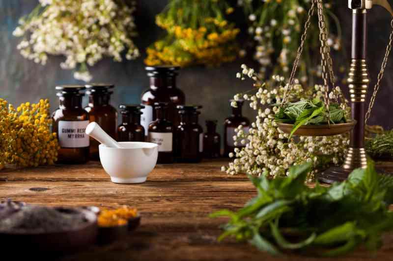 tarif-naturopathe
