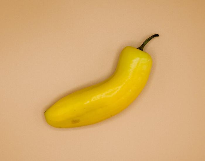 penis-courbe-causes-et-solutions