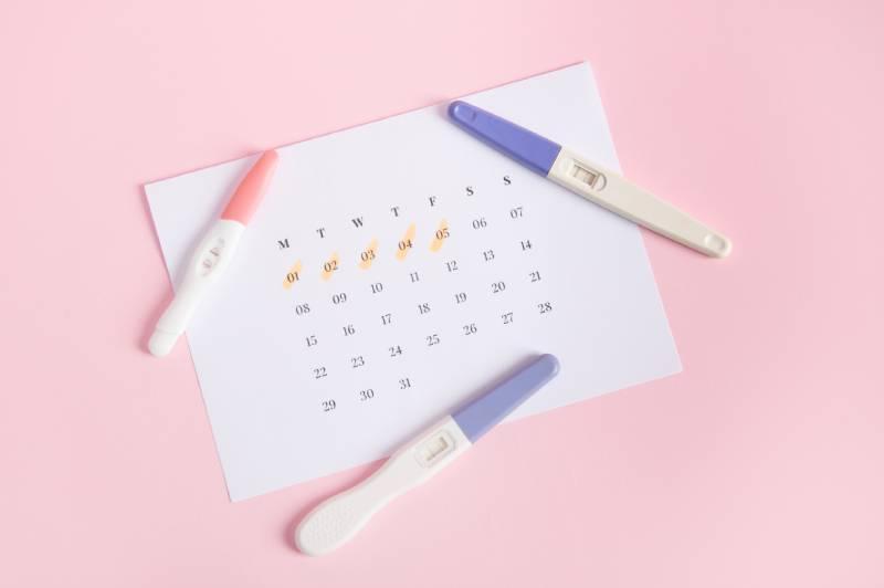 calendrier-prise-de-poids-grossesse-par-mois