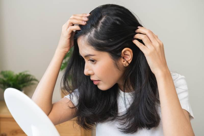 greffe-de-cheveux-femme-prix