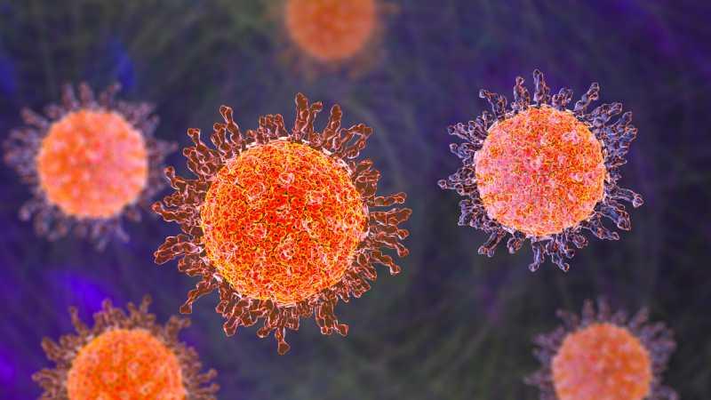 causes-herpes
