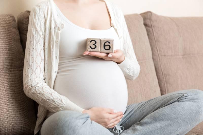 calendrier-grossesse-semaine