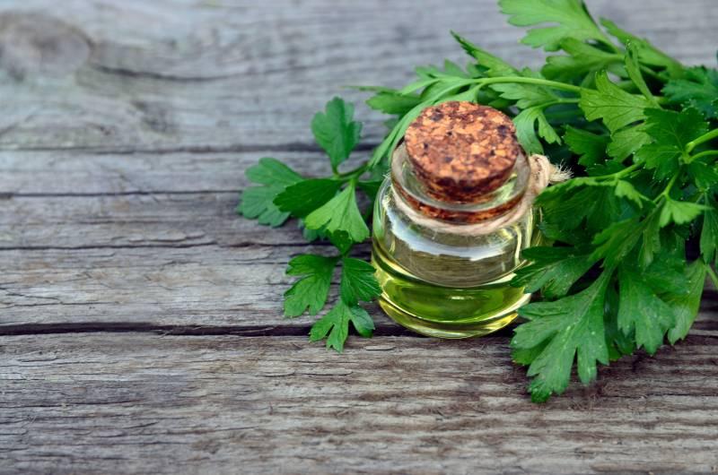 infusion-de-persil-pour-maigrir