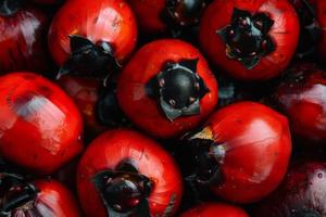guarana-bienfait