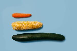 quelle-est-la-taille-moyenne-du-penis-en-france