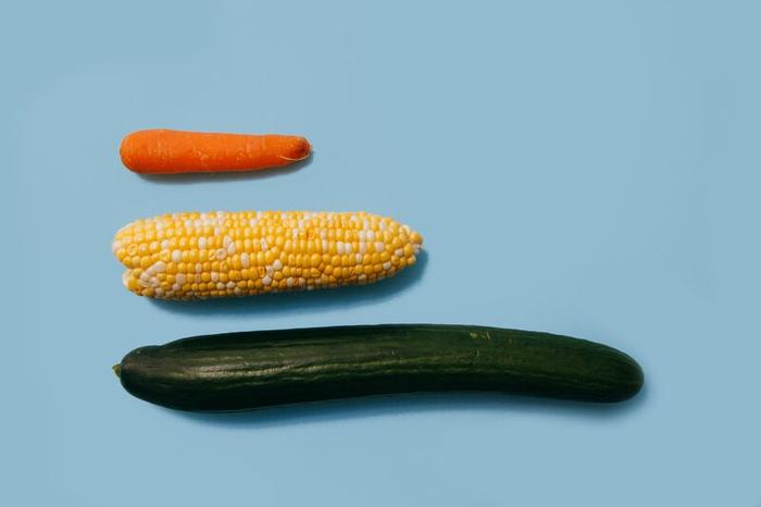 quelle-est-la-taille-moyenne-du-penis-en-france