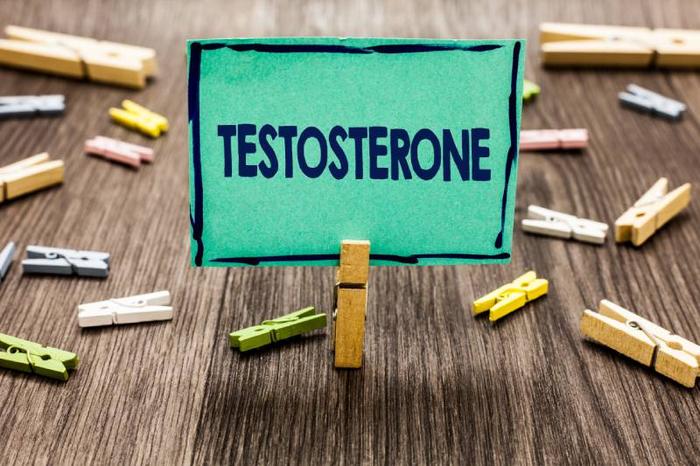 testosterone-definition
