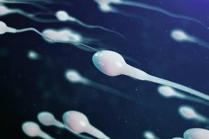 nombre-de-spermatozoides