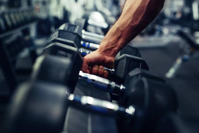 proteine-musculation