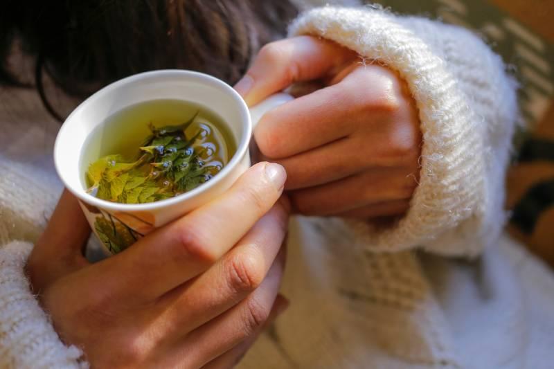tisane-brule-graisse-bio