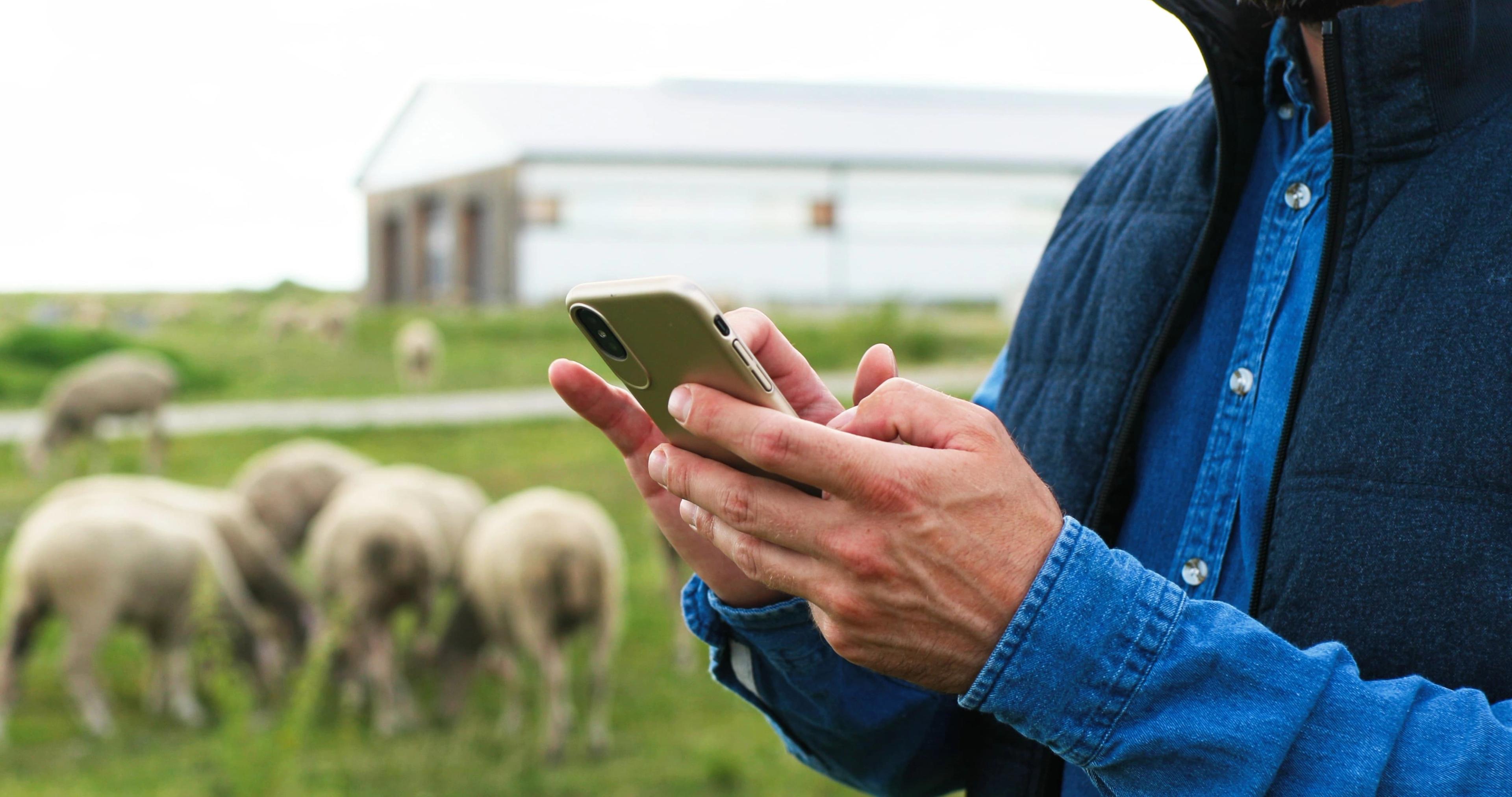 Phone reporting farm animal welfare