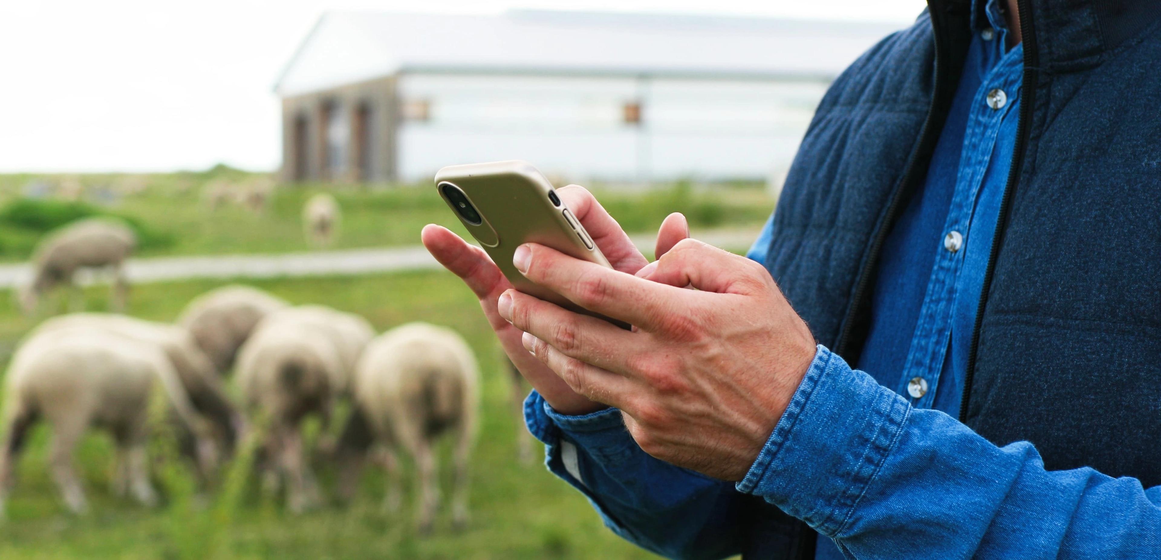 Phone reporting farm animal welfare