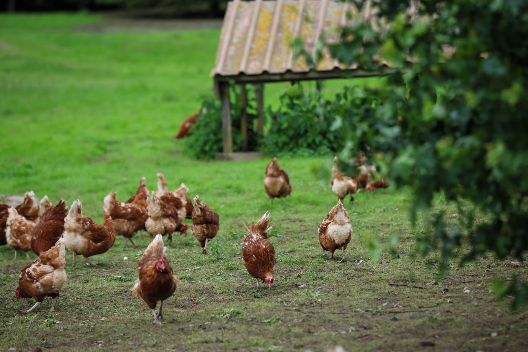 Working examples for natural daylight