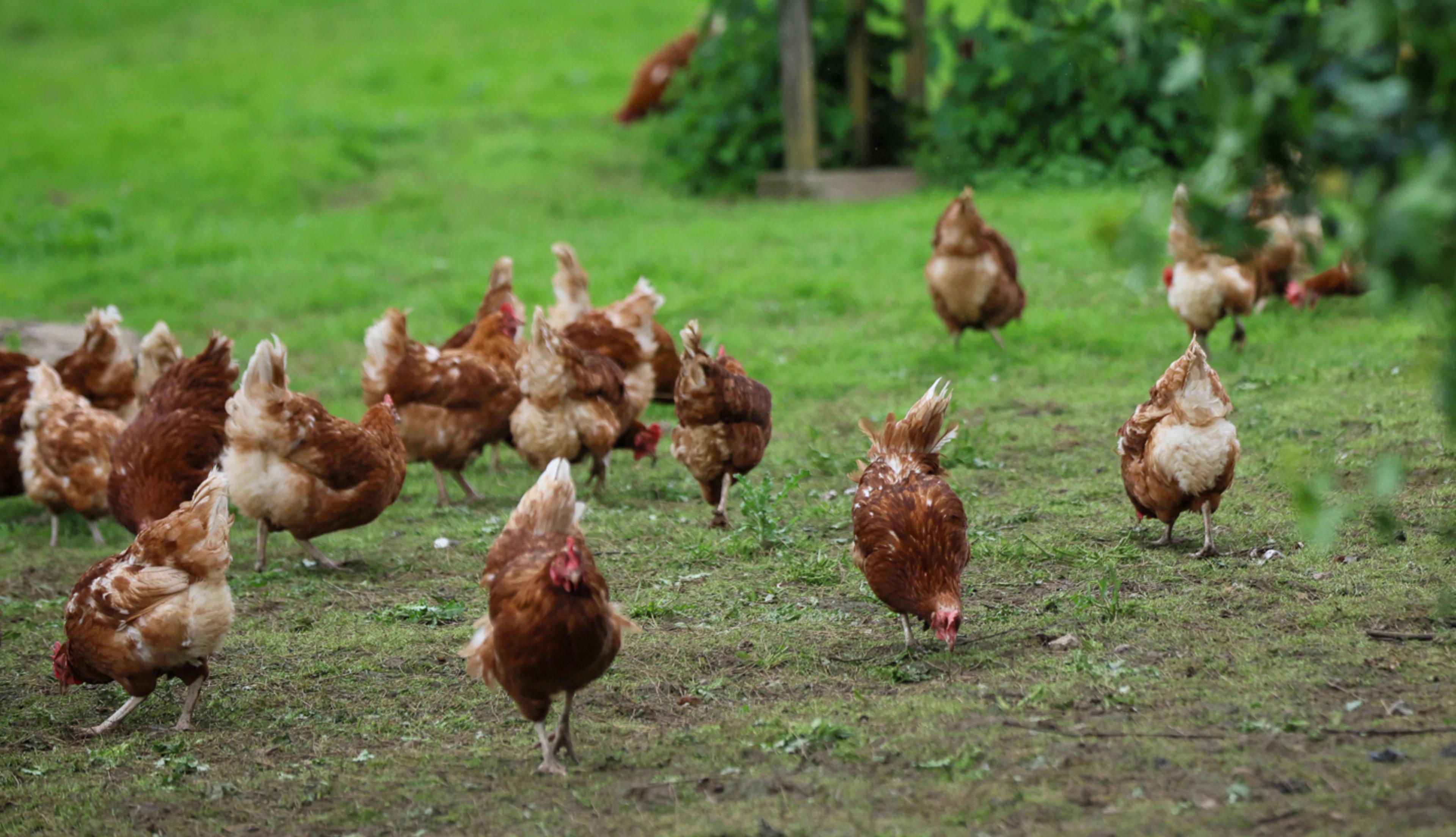 Working examples for natural daylight