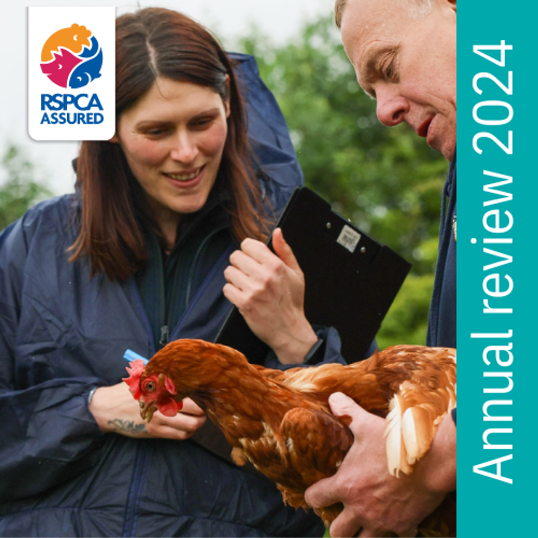 Annual review 2024