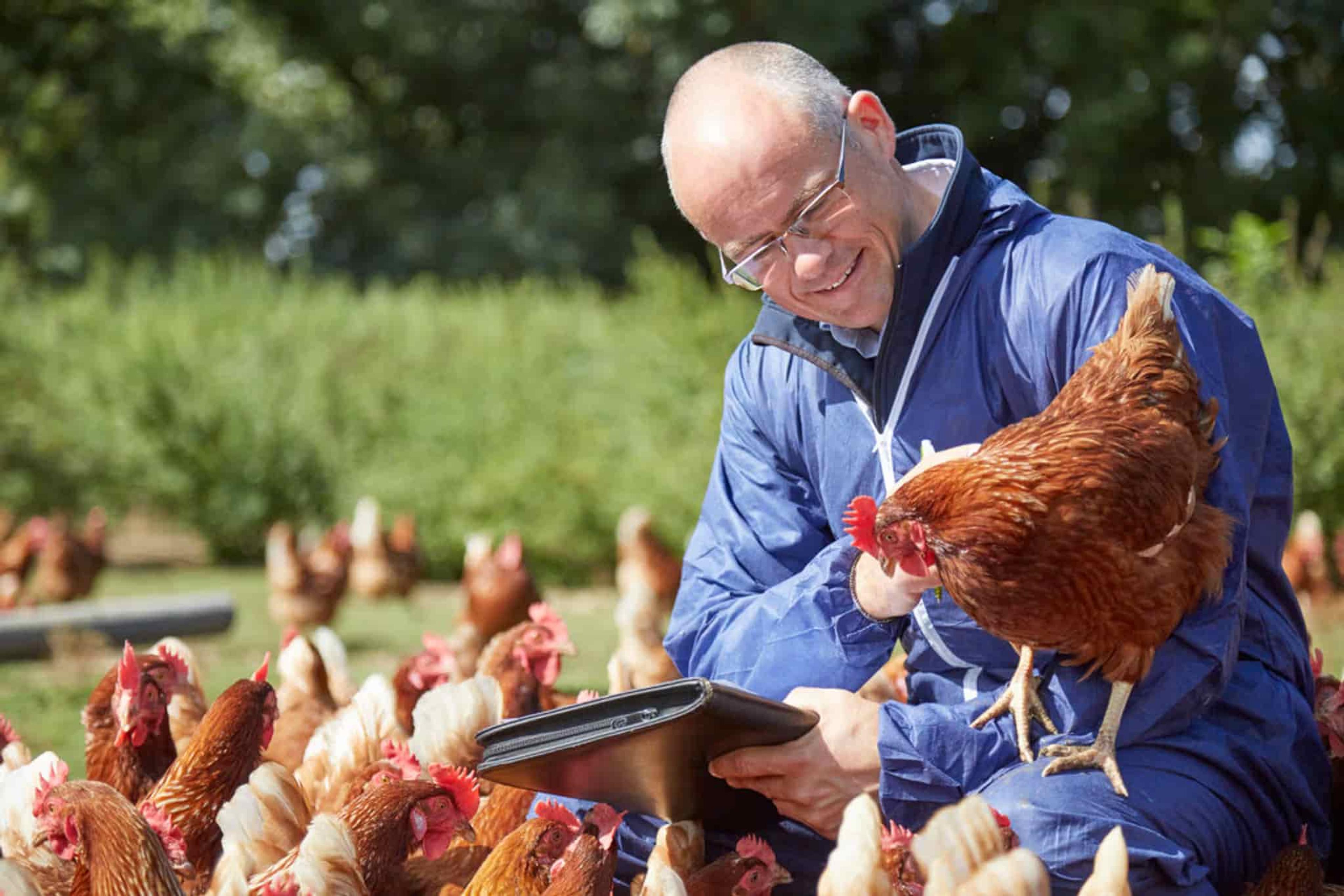 RSPCA Assured assessor and hens outside