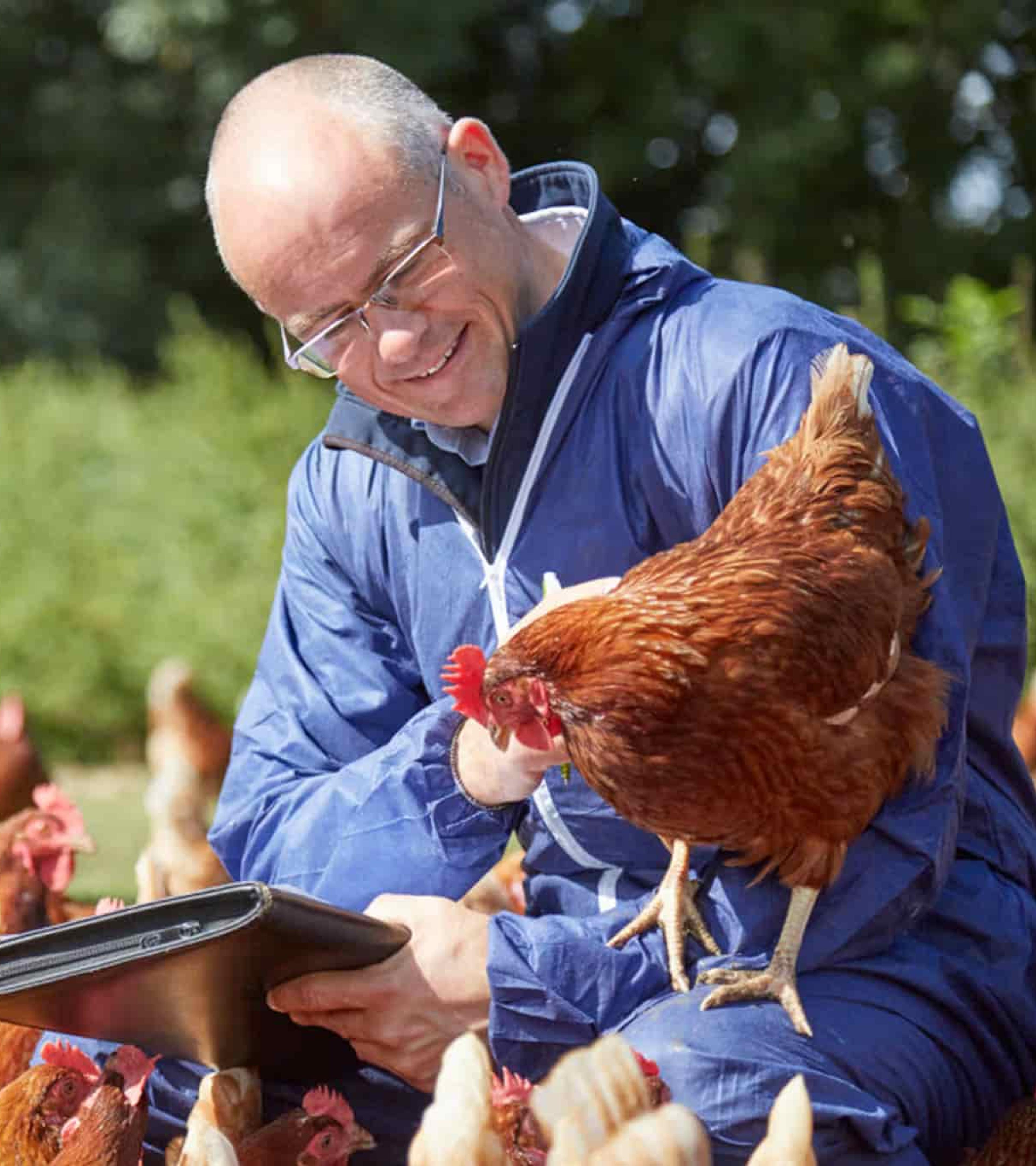 RSPCA Assured assessor and hens outside