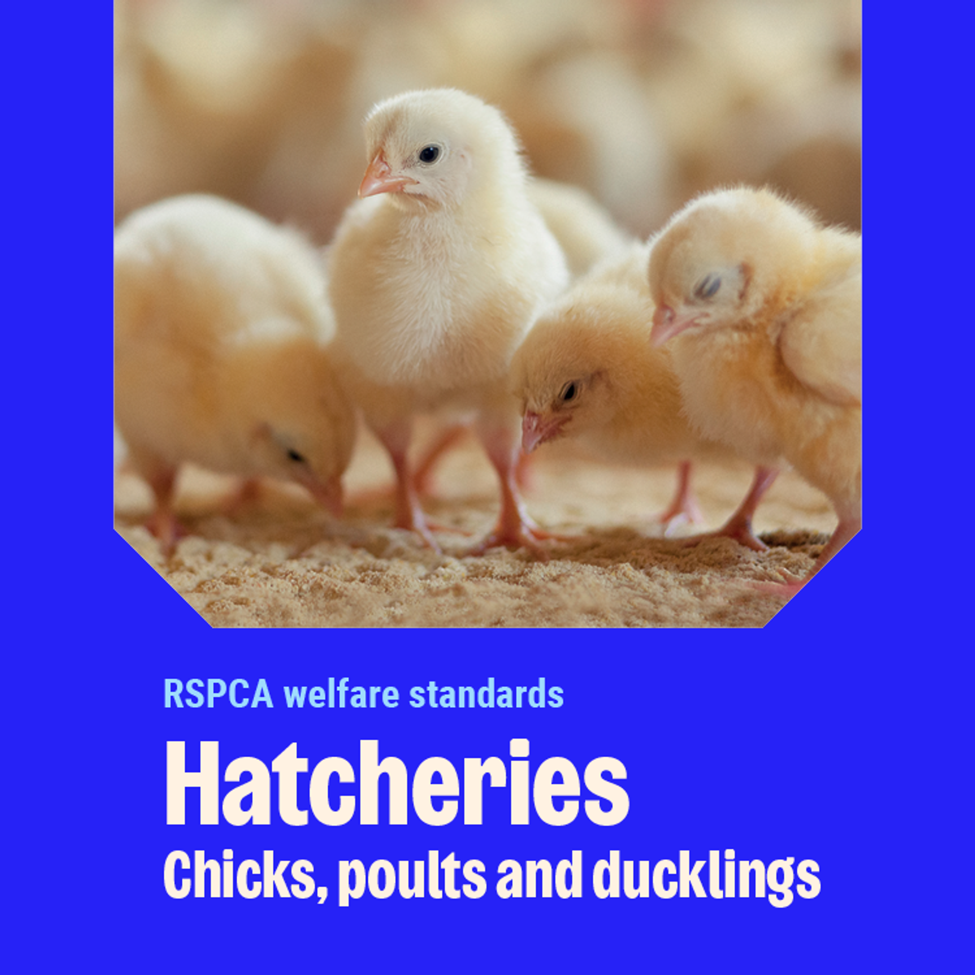 Hatcheries