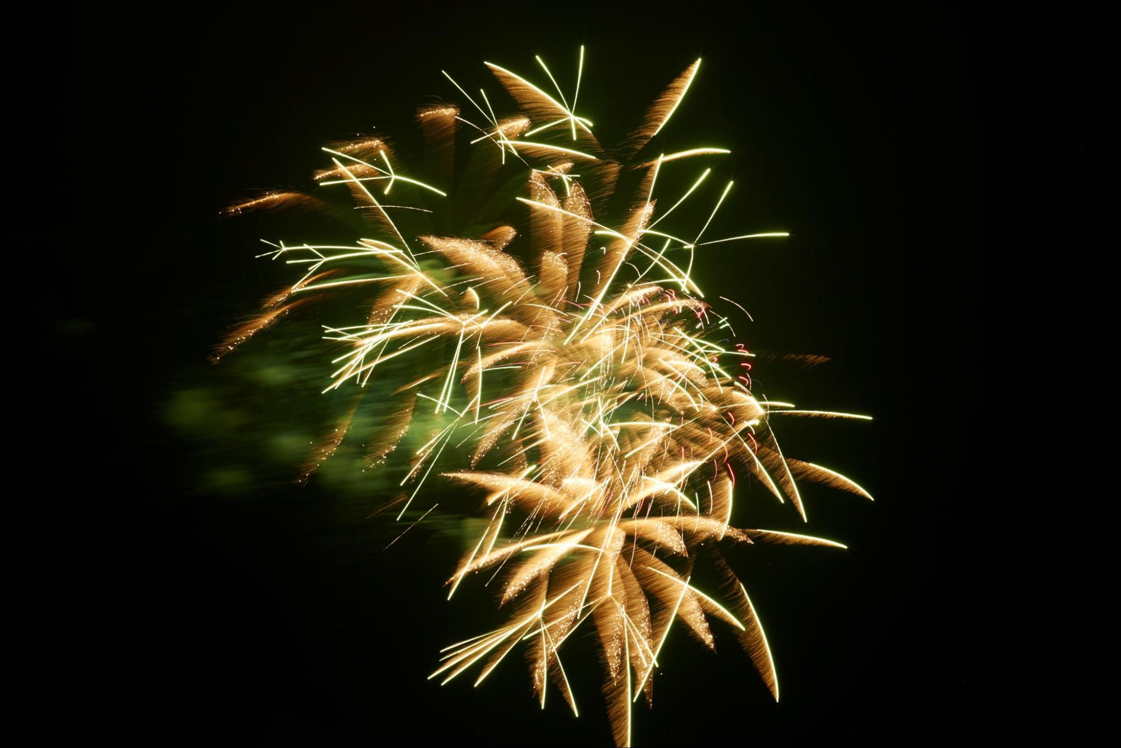 Pet Classics, radio show