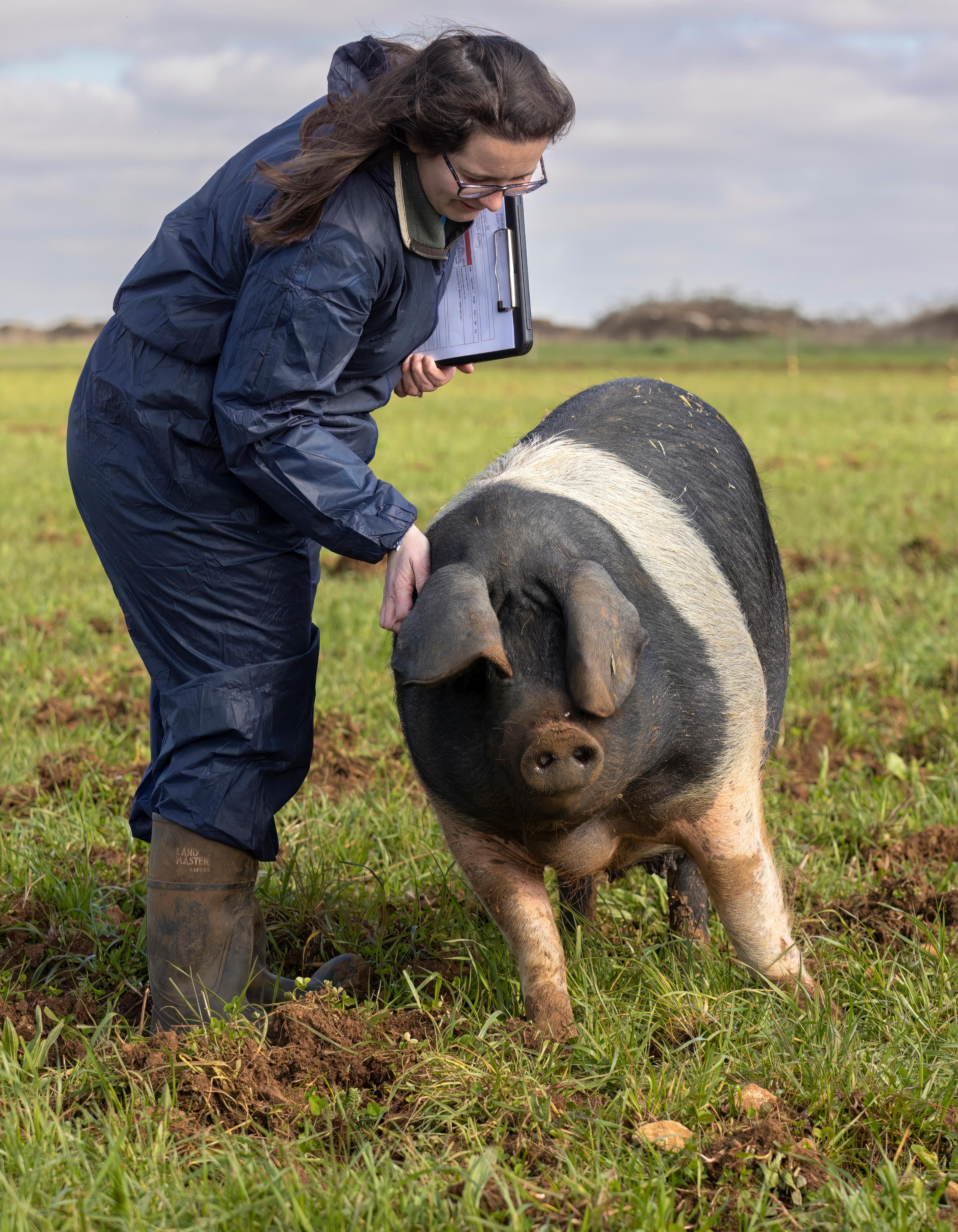 Tori with a pig on farm