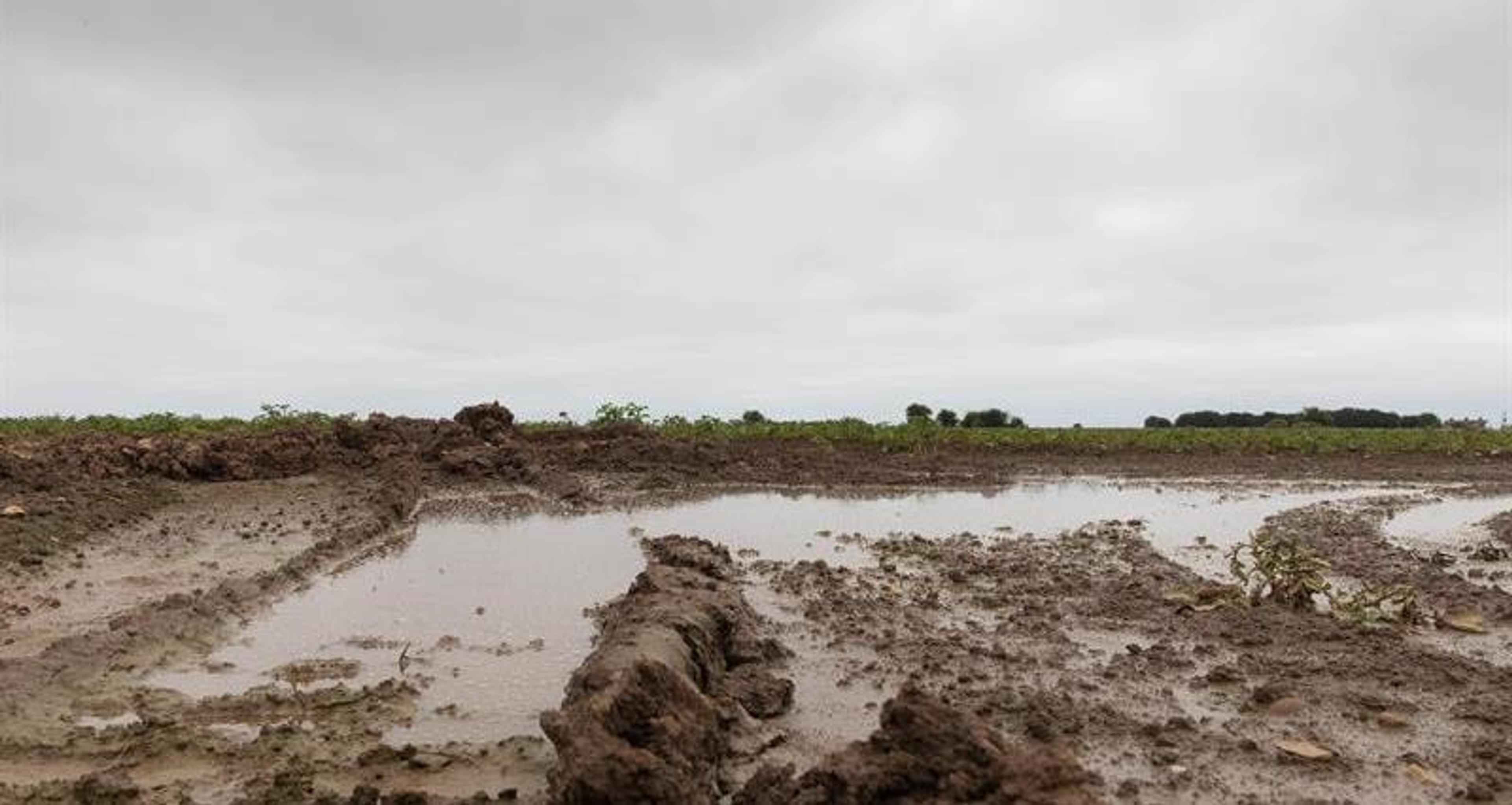 Flooding on farm