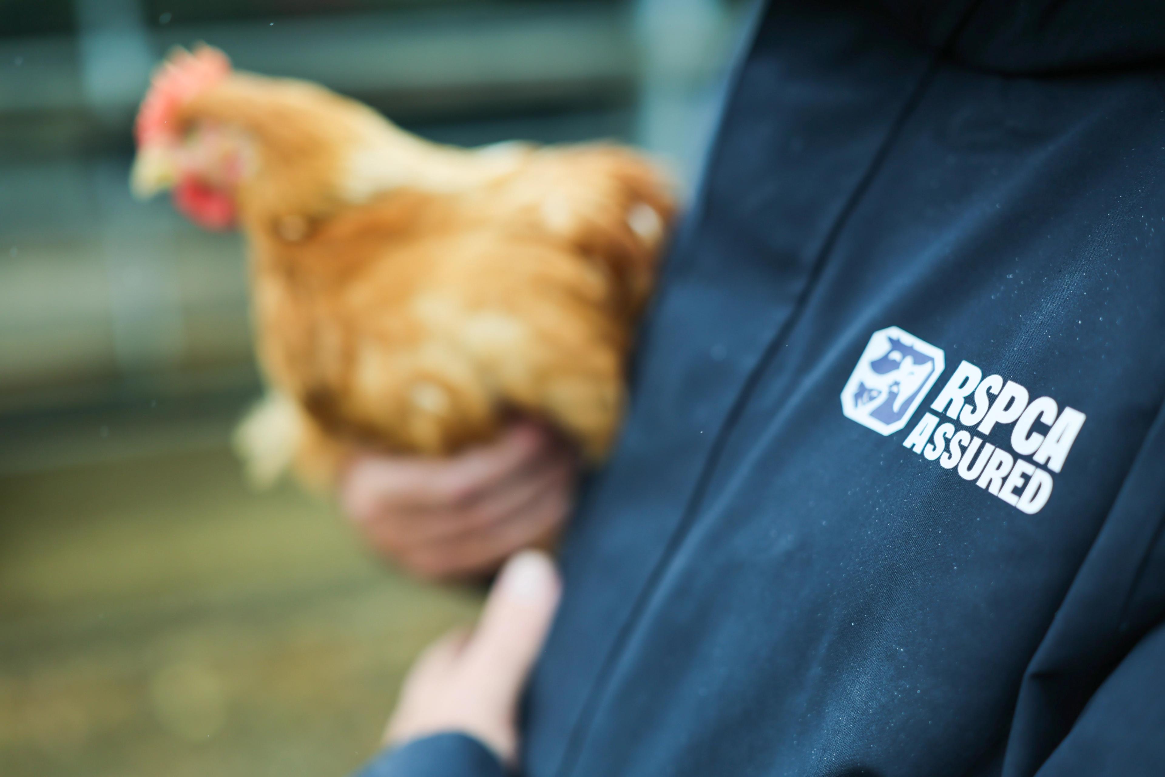 Have you spotted the new RSPCA Assured label? Here's what it means