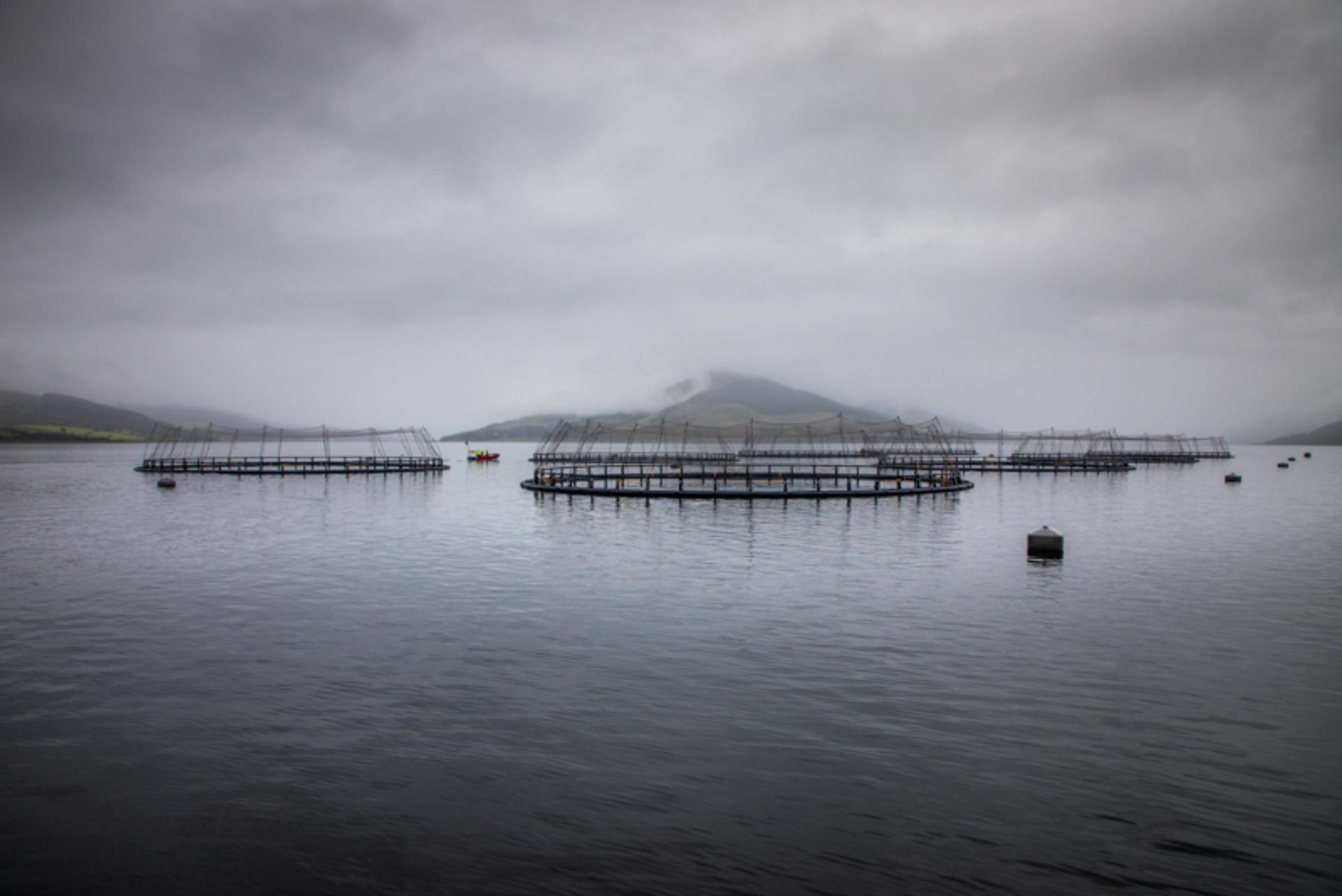 Information for aquaculture members