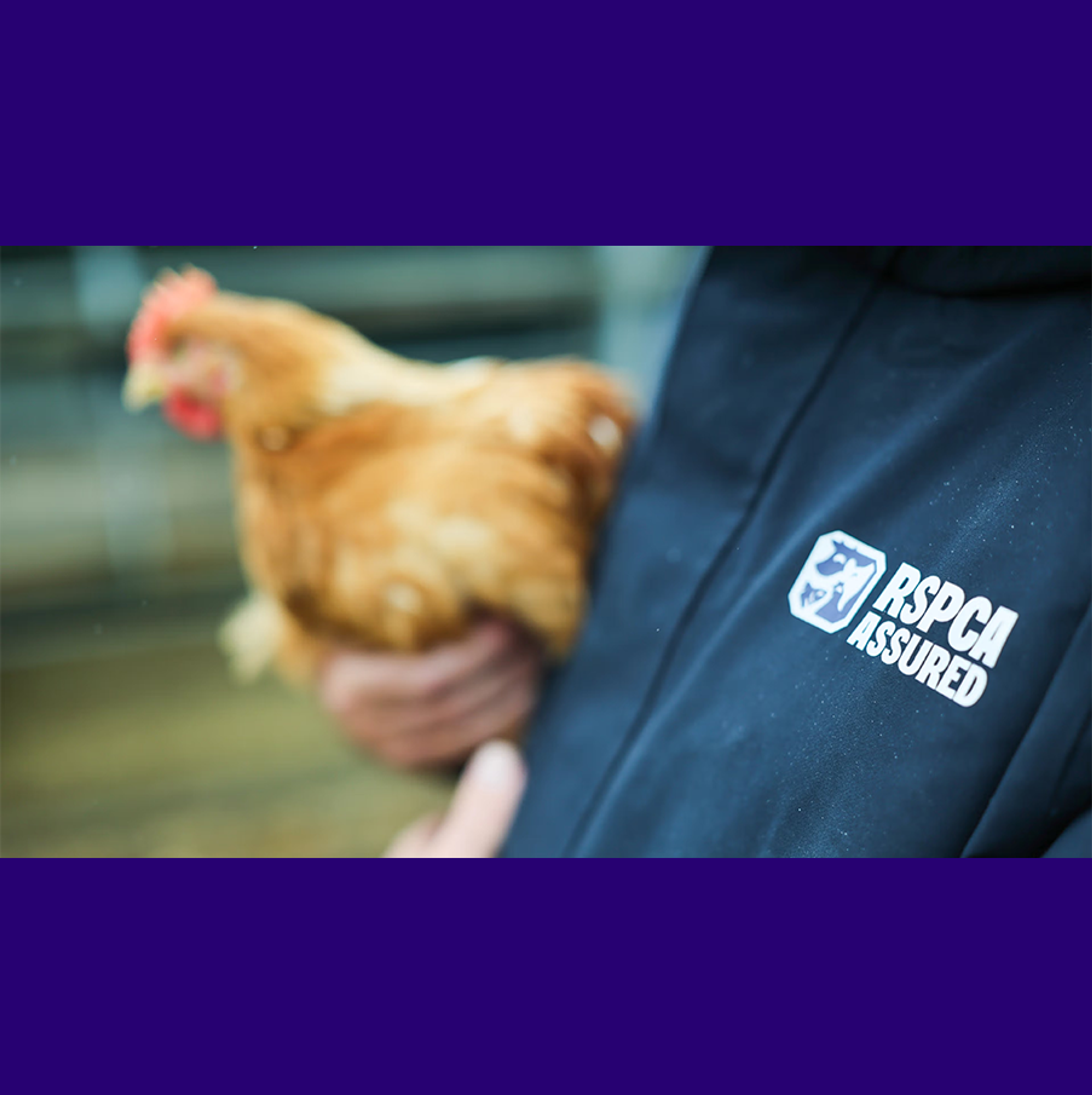 New RSPCA Assured logo