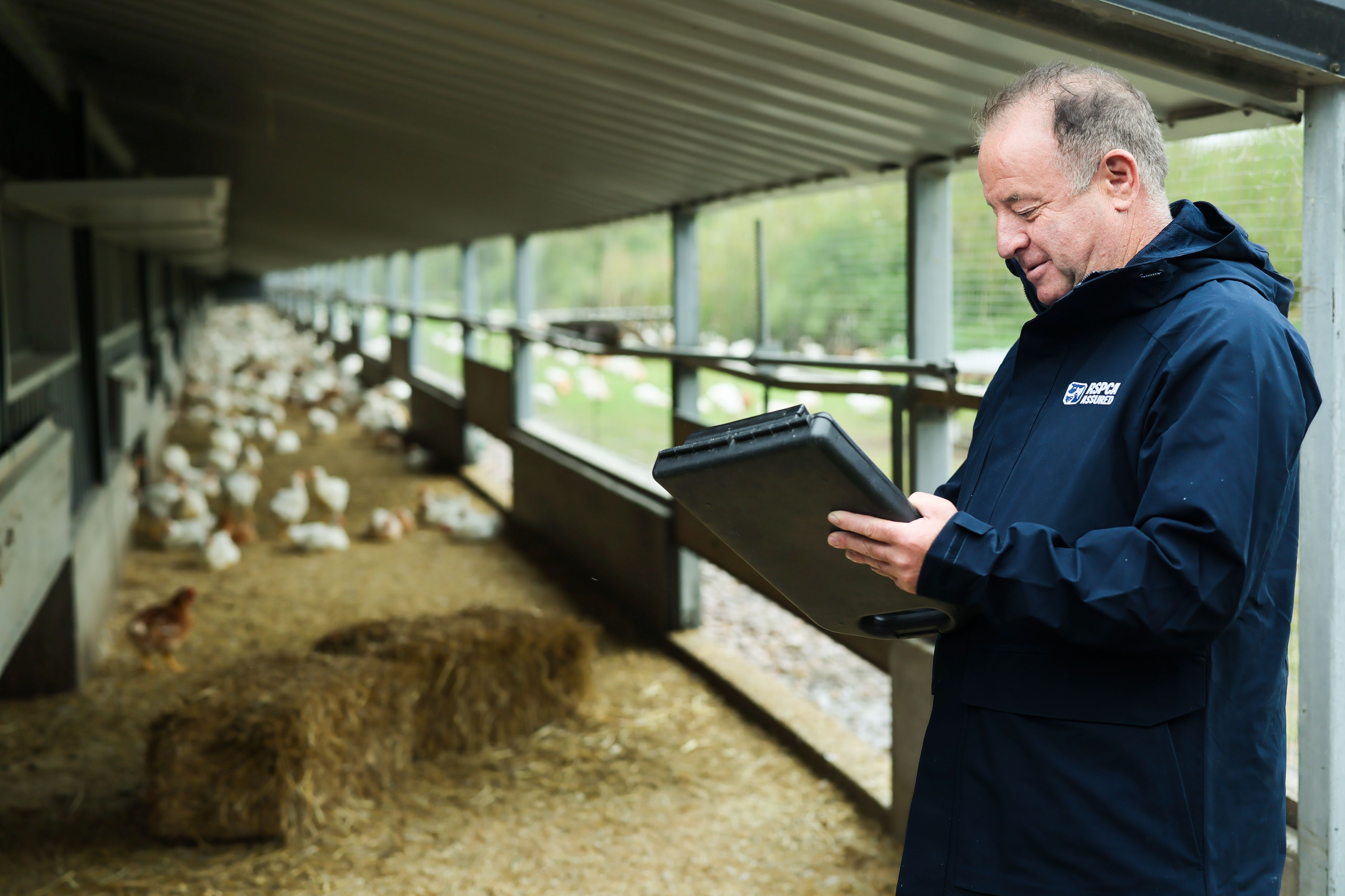 RSPCA Assured assessors on hen farm