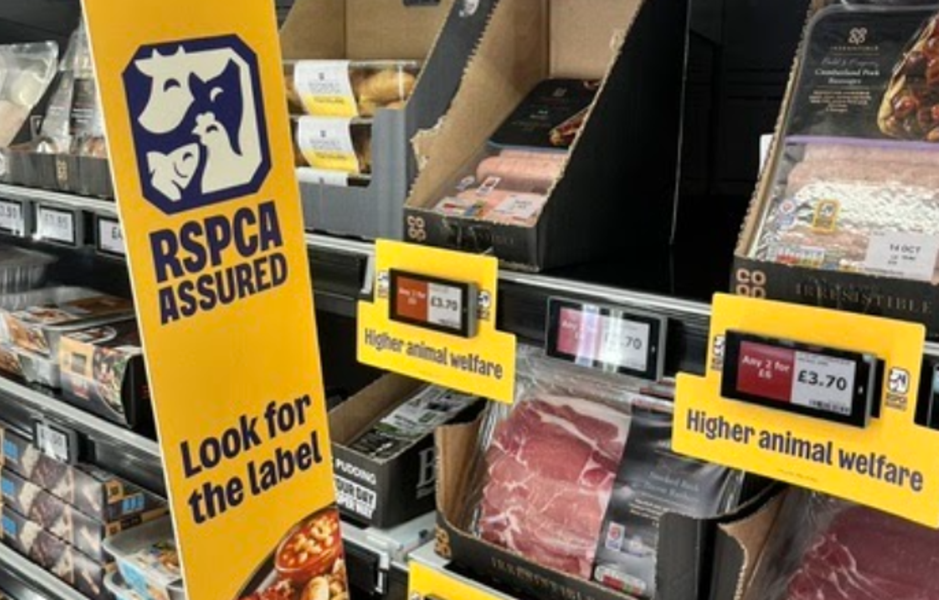 Our biggest in-store campaign yet: bringing higher welfare to OurCoop shoppers