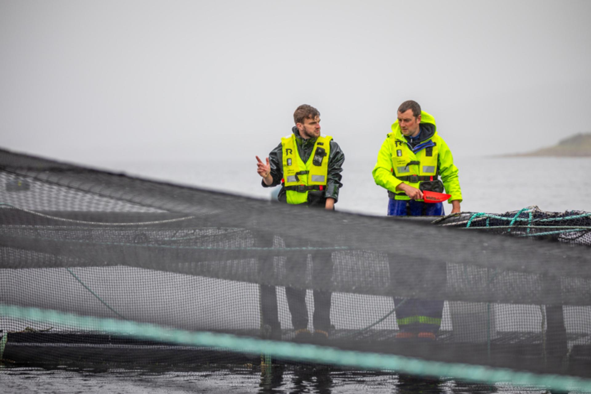 Get to know our new salmon assessors