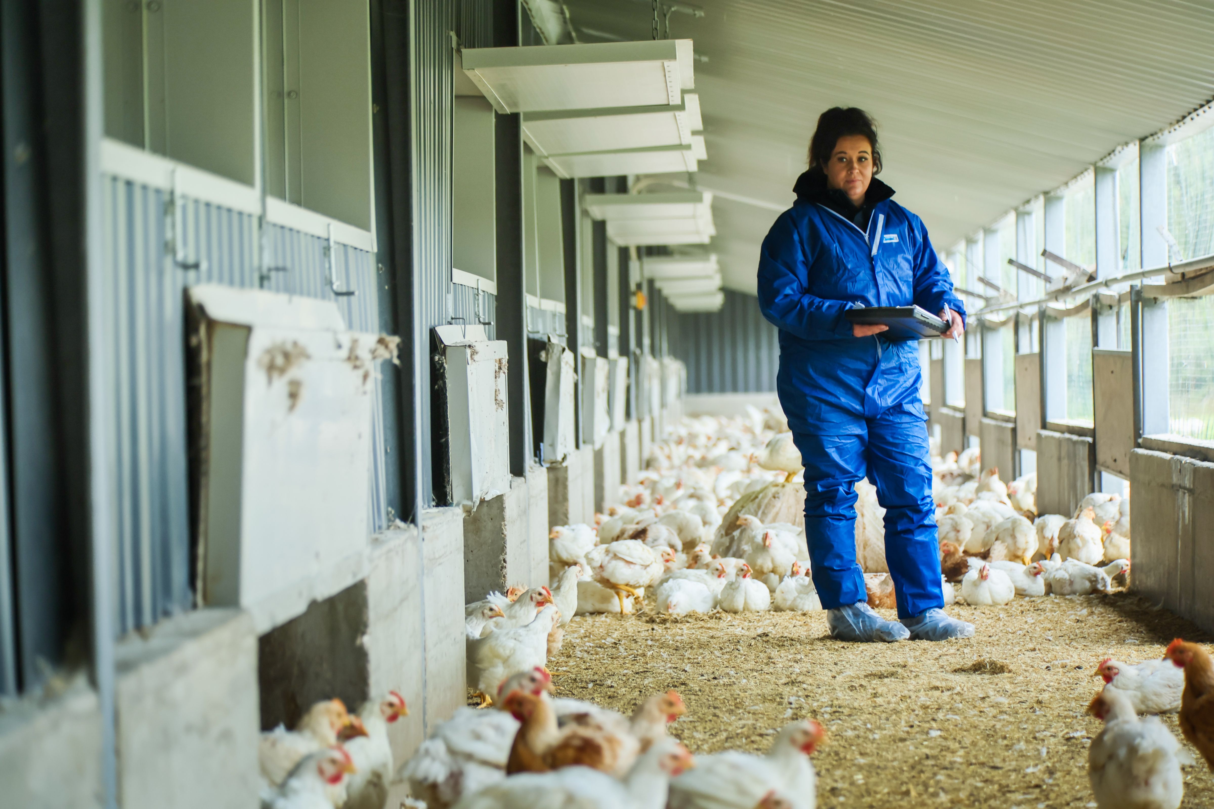 Our commitment to biosecurity during AI season