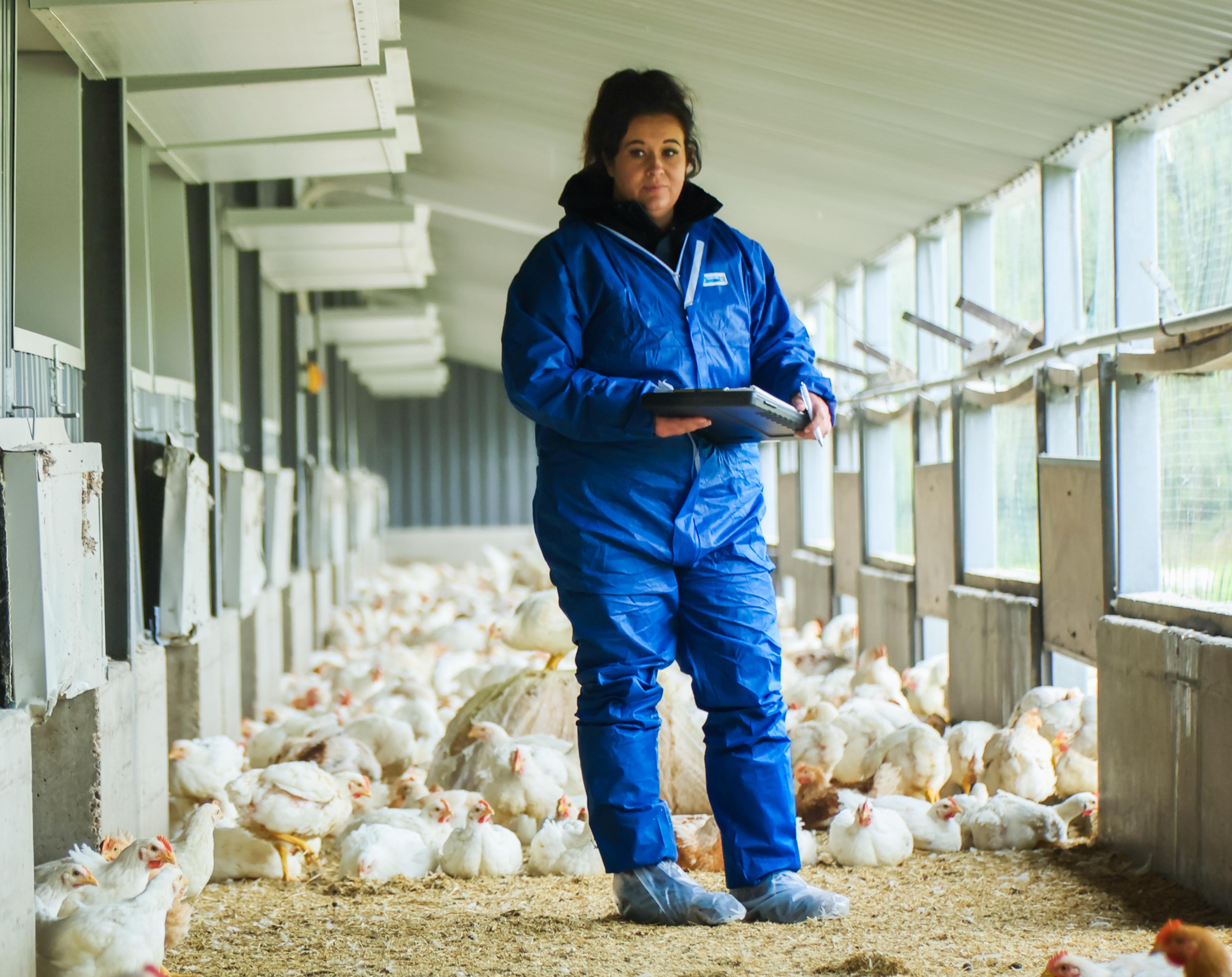 Our commitment to biosecurity during AI season